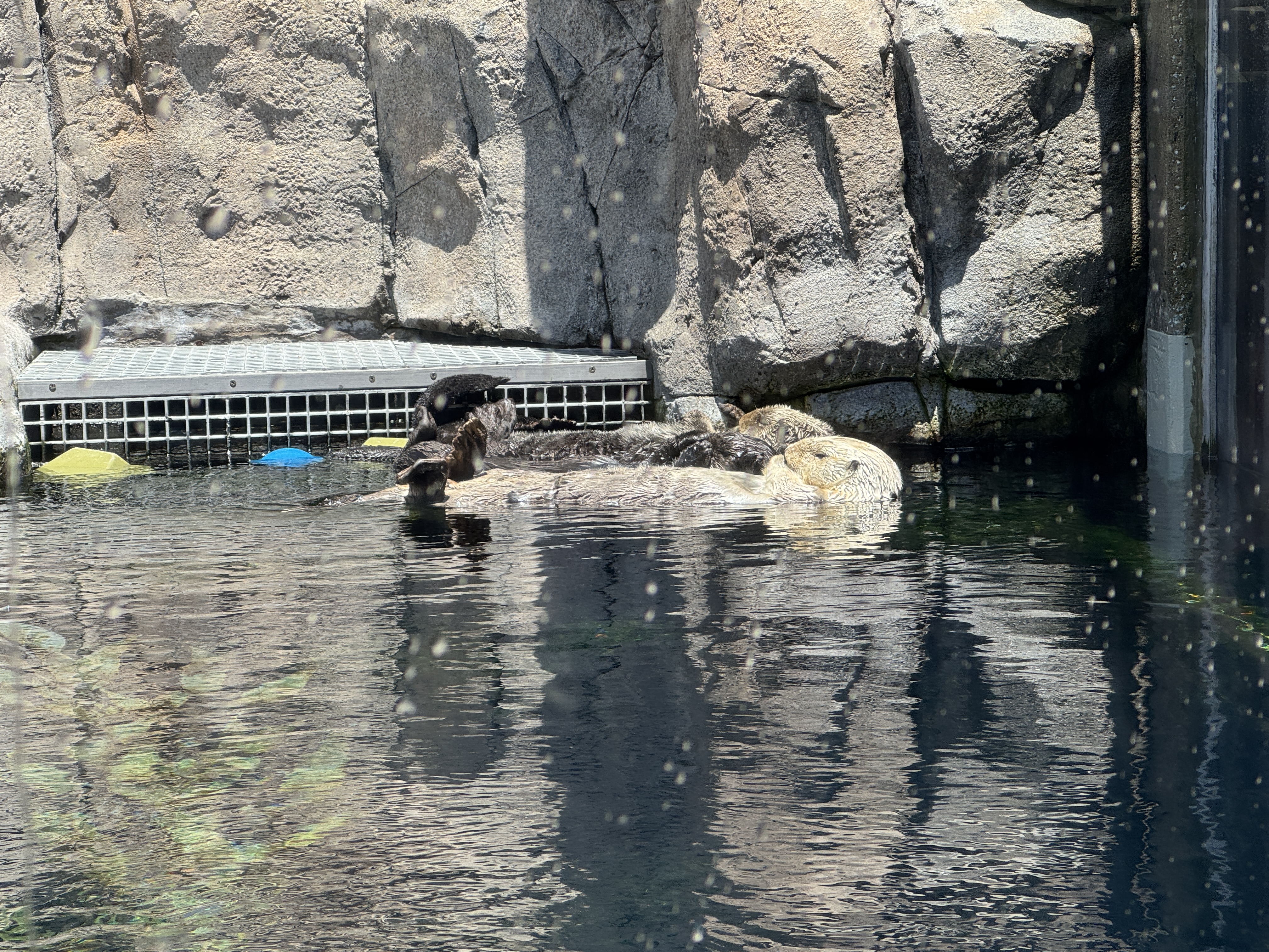 Monterey Bay Aquarium